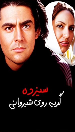 Thirteen Cats on the Gabled Roof