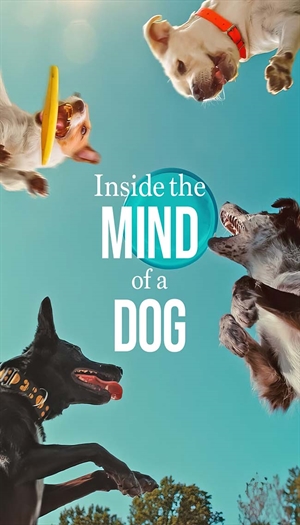 Inside the Mind of a Dog