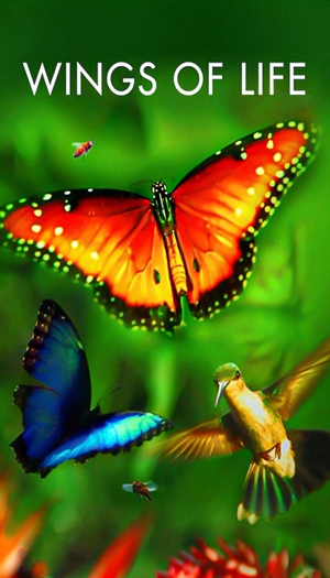 Disneynature: Wings of Life