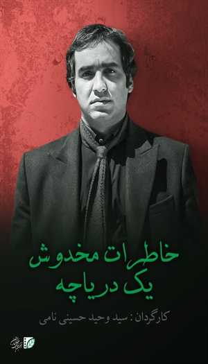 Distorted Memories of a Lake 