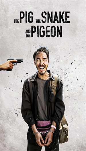 The Pig, the Snake and the Pigeon