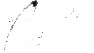 نگاه کردین ؟