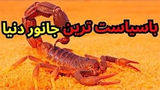 زندگی این جانور با سیاست چگونه می گذرد.