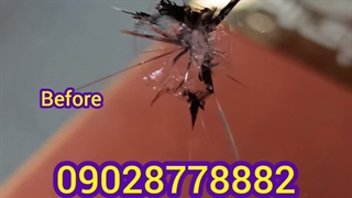 ترمیم شیشه اتومبیل در محل غرب تهران و کرج 09028778882