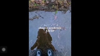 وایب entp کسی هم تایپم هست؟