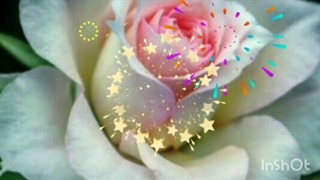 مولودی امام حسن ع زهرا پسراورده قرص قمراورده