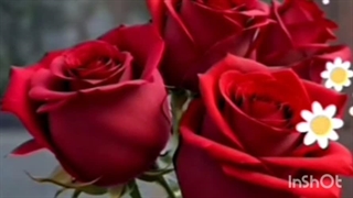 صحرا صحرا دویده ام.یارا یارا..گیسوی توام بلایم