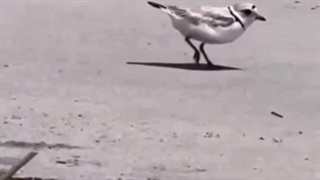 خواب های من