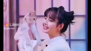 گربه ی بی تر ادب ...:)خخخ