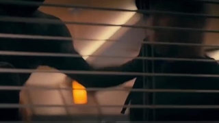 فیلم سینمایی مادام وب