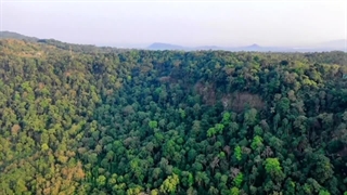 چی میشه اگه همه انسان ها ناگهان از روی زمین ناپدید بشن