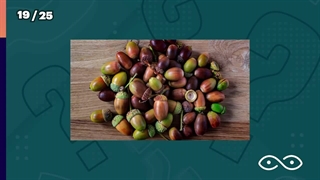 حدس بزن❌ مسابقه حدس زدن اسم میوه ها ❌