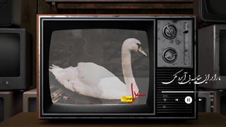 آن روز ها گذشت...| با صدای غزل خاکزاد