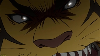 انیمه سنگوکو یوکو Sengoku Youko قسمت 12