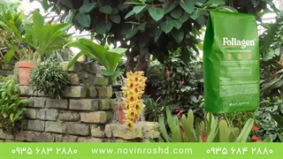 فروش کود | افزایش بهره وری خاک با کود فولیاژن + گلخانه زیبا