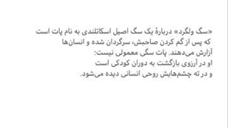معرفى بهترین داستان کوتاه ایرانی | سایت دانبوک