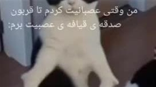 کاپل چهامر دیت دوممون نشه؟کپپ