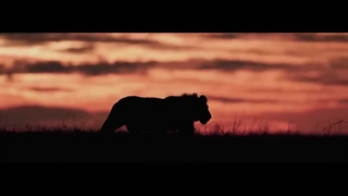 فیلم طعمه ۲۰۲۴ _ لینک دانلود این فیلم در توضیحات