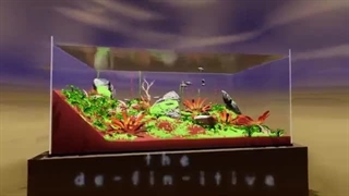 تریلر بازی Fish Game