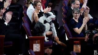 8 لحظه بیادماندنی مراسم اسکار 2024