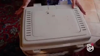 نون خ