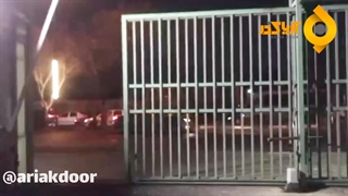 جک ریلی پراتیکا مدل k1500 و k2000 - آریاک در نماینده انحصاری پراتیکا در ایران