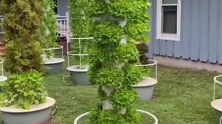 مزرعه عمودی هیدروپونیک