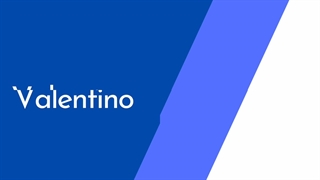 پلاستر مخصوص وال مش