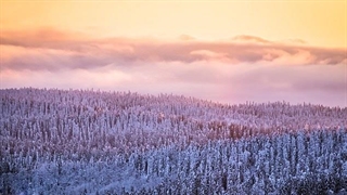 عجایب هفتگانه صوتی دنیا - همخوانی بامدادی پرندگان دریاچه سوواسوسی در فنلاند