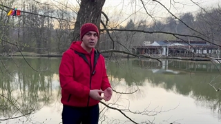 چطوری مهاجرت کنیم⁉️7 روش اصلی مهاجرت زیر ۱۰ دقیقه!!موسسه ملکپور