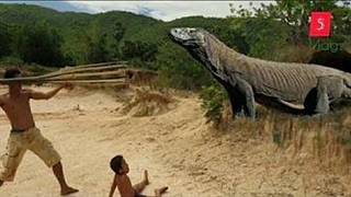 اژدهای کومودو | مستند حیات وحش | پارت اول