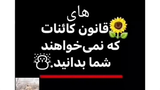 قانون هایی که نمی خواهند شما بدانید