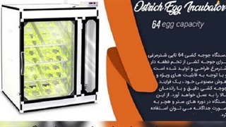 فروش دستگاه جوجه کشی شتر مرغ 64 تایی