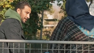 جنگل اسفالت