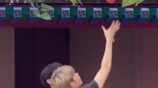 هائوبین یکبار دیگر ...