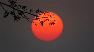 مدار صفر درجه - شعر از آرمان پرناک