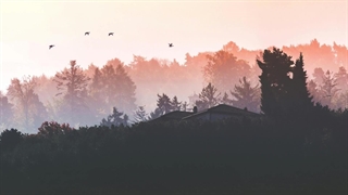 تنم را با شعر بشویید - شعر از گروس عبدالملکیان