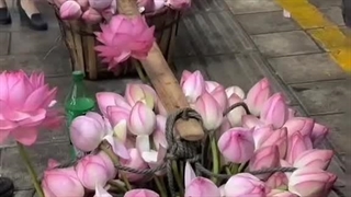 «و تو به زیبایی این گل هایی»