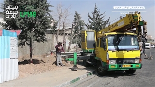 جابجایی درخت در اتحاد (تهران)