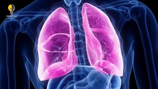 اندام هایی از بدن که واقعا به آنها نیازی ندارید: اندام هایی که میتونید بدون اونا زندگی کنید