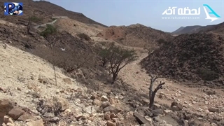 شگفتی های تور عمان - سفری رویایی به مروارید خاورمیانه در 1403