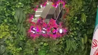 اجرای دیوار سبز مصنوعی