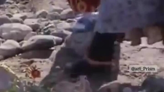 یه چیزی دستم بود...