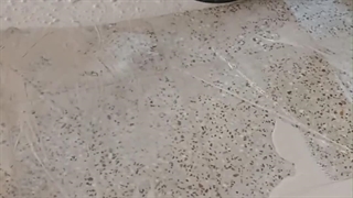 کفسابی موزاییک با ساینده الماس توسط کفسابی نیل