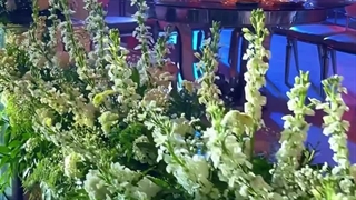 تشریفات عروسی فروزان ساری زاویه سازی صورت