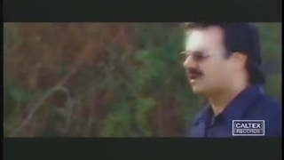 Moein - Roya | معین - رویا