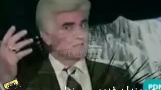 دل غافل _ویگن (موی سفید )