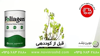 تایم لپس نجات گیاه درحال مرگ! خرید بهترین کود