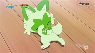 Pokémon 2023- Latihan Spesial Kapten Pikachu