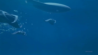 Manta Ray؛ ربات شکارچی جدید ارتش ایالات متحده به شکل سفره ماهی